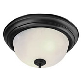 Black Finished Close-to-Ceiling Light Fixtures