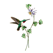 Bovano H1 Broad Tailed Hummingbird with Columbine Wall Art
