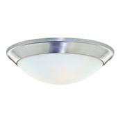 Rainier Flush Mount Ceiling Light - Dolan Designs 5402-09