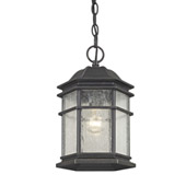 Barlow Outdoor Hanging Lantern - Dolan Designs 9232-68