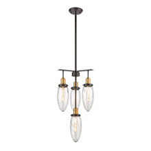 Elk Lighting 16327/4 4-Light Chandelier in Oil Rubbed Bronze with Clear Water Glass