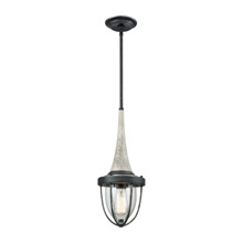 Elk Lighting 33130/1 1-Light Mini Pendant in Silvered Graphite with Clear Blown Glass