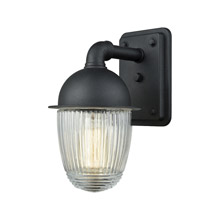 Elk Lighting 45250/1 1-Light Outdoor Wall Lamp in Matte Black