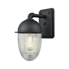 Elk Lighting 45251/1 1-Light Outdoor Wall Lamp in Matte Black