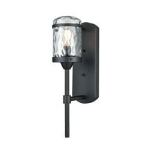 Elk Lighting 45400/1 1-Light Outdoor Wall Lamp in Charcoal Black