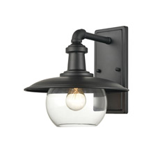 Elk Lighting 45430/1 1-Light Outdoor Sconce in Matte Black with Clear Glass