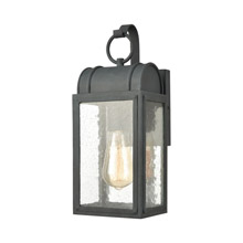 Elk Lighting 45480/1 1-Light Outdoor Sconce in Aged Zinc with Seedy Glass Enclosure