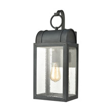 Elk Lighting 45482/1 1-Light Outdoor Sconce in Aged Zinc with Seedy Glass Enclosure