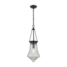 Elk Lighting 56580/1 1-Light Mini Pendant in Oil Rubbed Bronze with Clear Crosshatched Glass