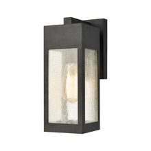 Elk Lighting 57300/1 1-Light Outdoor Sconce in Charcoal with Seedy Glass Enclosure