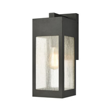 Elk Lighting 57301/1 1-Light Outdoor Sconce in Charcoal with Seedy Glass Enclosure