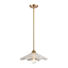 Elk Lighting 60166/1 1-Light Pendant in Satin Brass with Clear Textured Glass