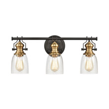Elk Lighting 66686-3 3-Light Vanity Light in Oil Rubbed Bronze and Satin Brass with Seedy Glass