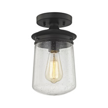 Elk Lighting 81224/1 1-Light Semi Flush in Oil Rubbed Bronze with Clear Seedy Glass
