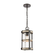 Elk Lighting 89147/1 1-Light Outdoor Pendant in Anvil Iron and Distressed Antique Graywood with Seedy Glass