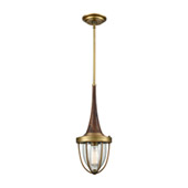 Sturgis 1-Light Mini Pendant in Brushed Antique Brass with Clear Blown Glass - Elk Lighting 33140/1