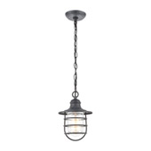Vandon 1-Light Hanging in Aged Zinc with Clear Glass - Elk Lighting 45223/1