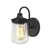 Hamel 1-Light Vanity Lamp in Oil Rubbed Bronze with Clear Seedy Glass - Elk Lighting 81210/1