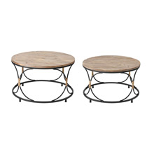 ELK Home 3200-254/S2 Fisher Island Coffee Tables (Set of 2)