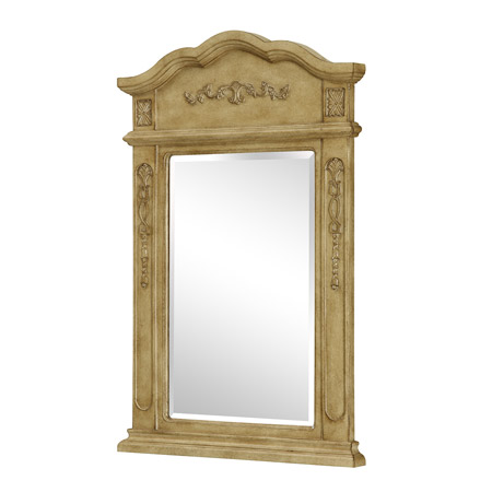 Elegant Lighting VM-1001 Danville Vanity Mirror