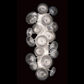 Transitional Chrysanthemums Sconce - Fine Art Handcrafted Lighting 884650