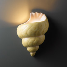 Justice Design CER-3700-SEAK SEAK Ambiance Conch Shell Wall Sconce