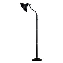 Kenroy Home 21398ORB Lamps, Amherst Adjustable Floor Lamp