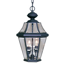 Livex Lighting 2265-04 Georgetown Outdoor Hanging Lantern