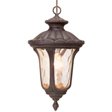 Livex Lighting 7654-58 Oxford Outdoor Lantern