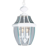 Traditional Monterey Outdoor Hanging Lantern - Livex Lighting 2255-03