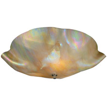 Meyda 114167 Organic Art Glass Beige Iridescent Flush Mount Ceiling Fixture