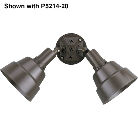 Progress Lighting P5212-20 PAR Lampholder Outdoor Wall Lantern