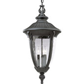 Classic/Traditional Meridian Outdoor Hanging Lantern - Progress Lighting P5520-31