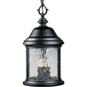 Classic/Traditional Ashmore Outdoor Hanging Lantern - Progress Lighting P5550-31
