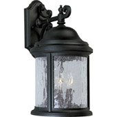 Ashmore Outdoor Wall Lantern - Progress Lighting P5650-31