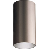 Contemporary Cylinder Outdoor Flush Mount Ceiling Fixture - Progress Lighting P5741-20