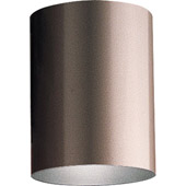 Contemporary Cylinder Outdoor Flush Mount Ceiling Fixture - Progress Lighting P5774-20