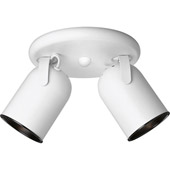 Classic/Traditional Directional Two Light Spotlight Fixture - Progress Lighting P6149-30