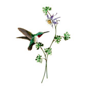 Hummingbird Theme